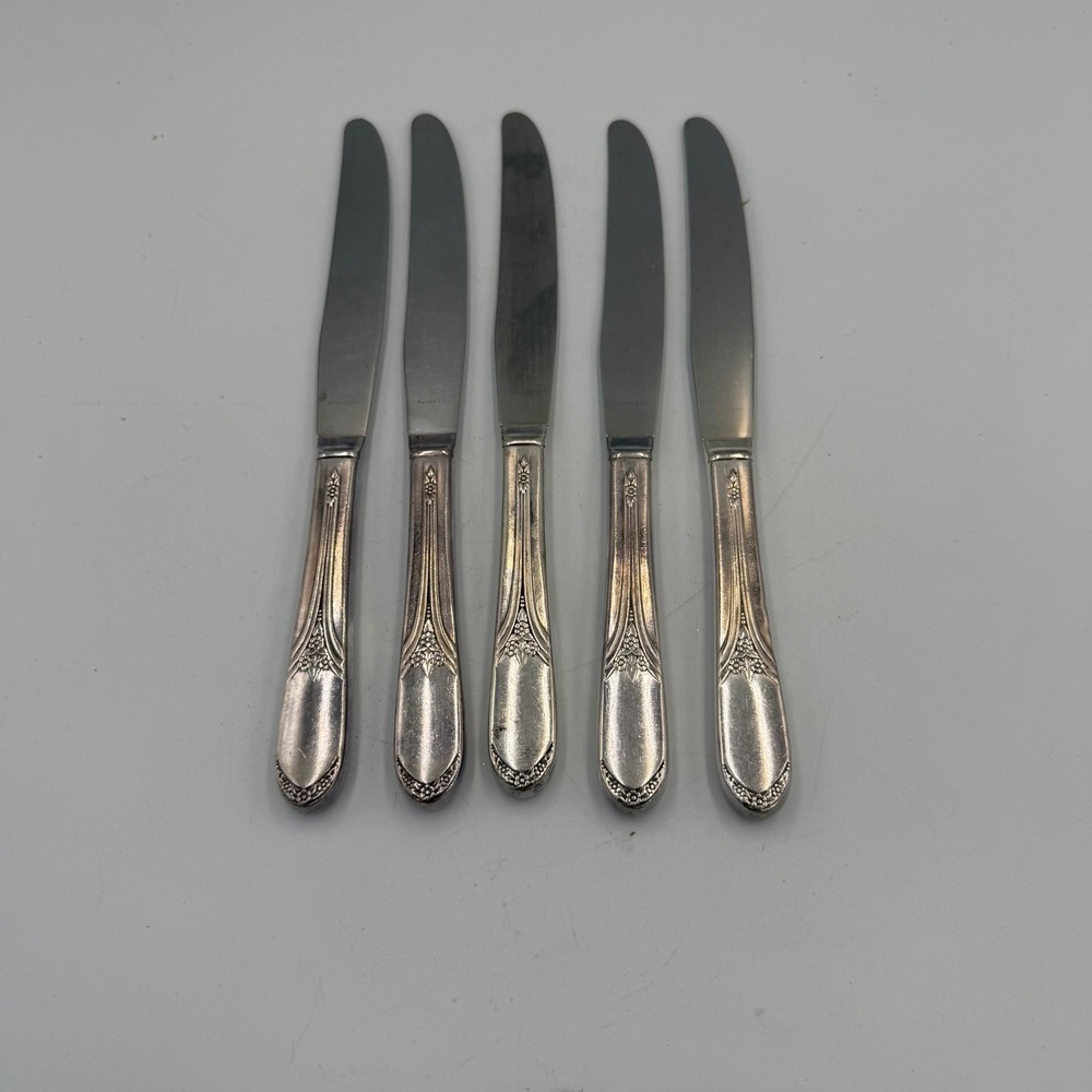 Vintage Dinner Knives Set of 5 Stainless Blade Floral Scroll Pattern